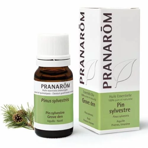 Pin sylvestre - 10 ml Aiguille