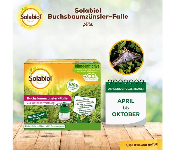 Solabiol® Buchsbaumzünsler-Falle