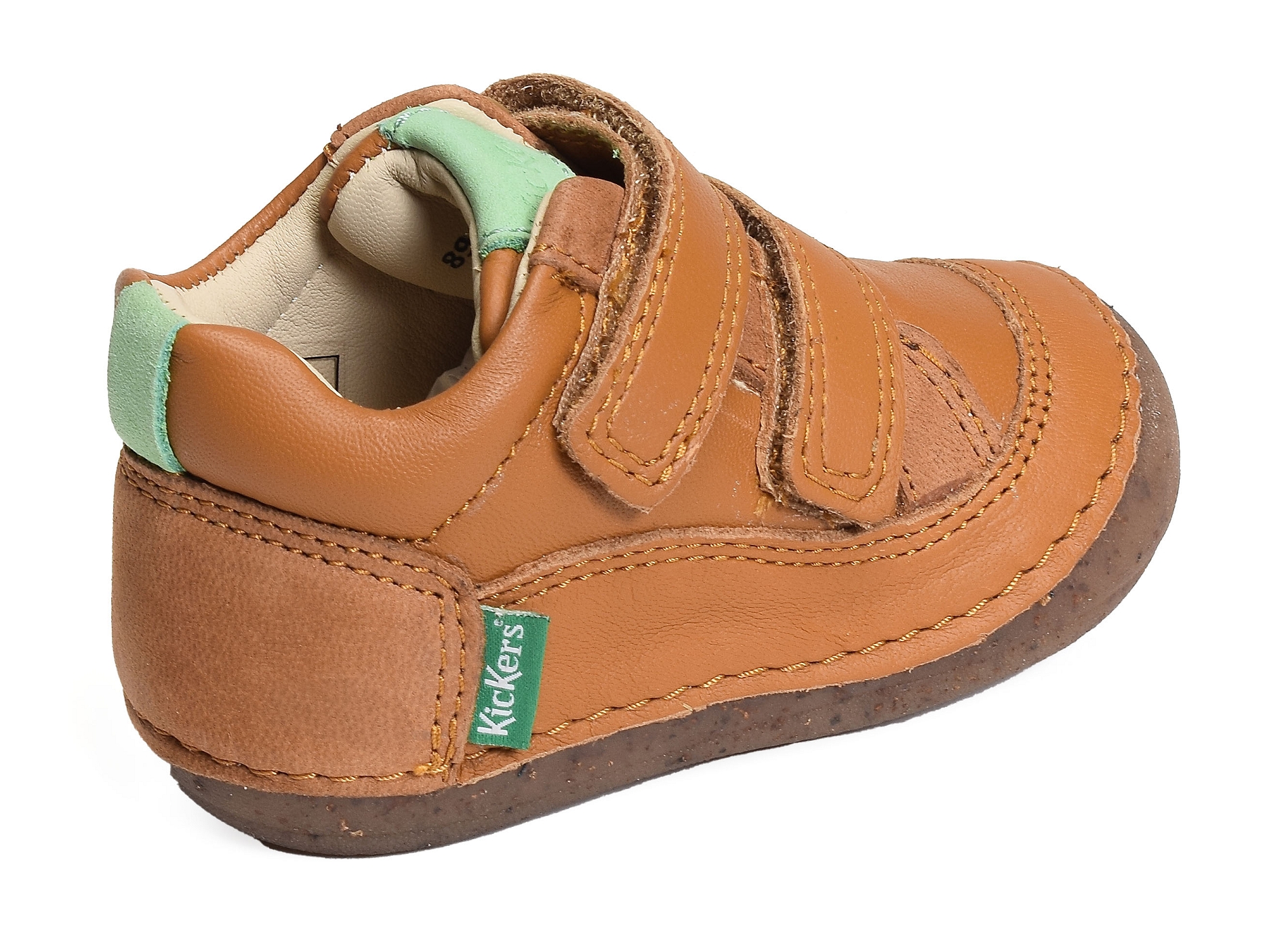 Sostankro boy camel