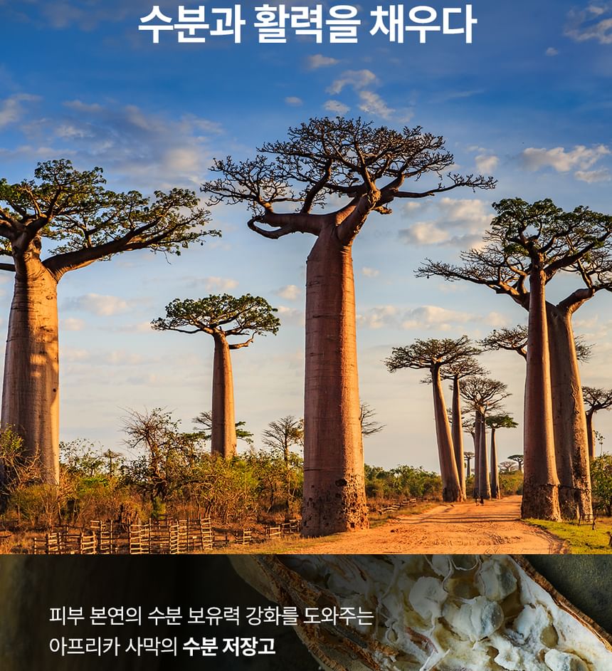 NATURE REPUBLIC - Africa Bird Homme All In One Fresh Balancer