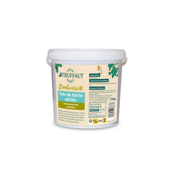 Vers de farine séchés - 1700 g
