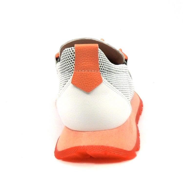Hispanitas HV253919 White coral
