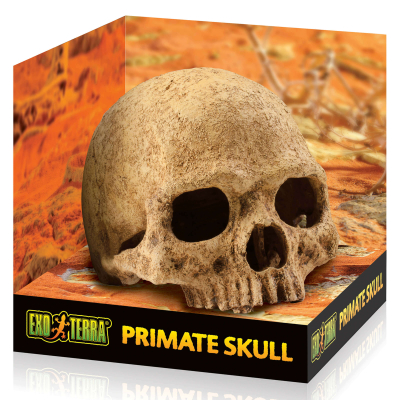 Exo Terra Primate Skull 17x13.5x11.5cm