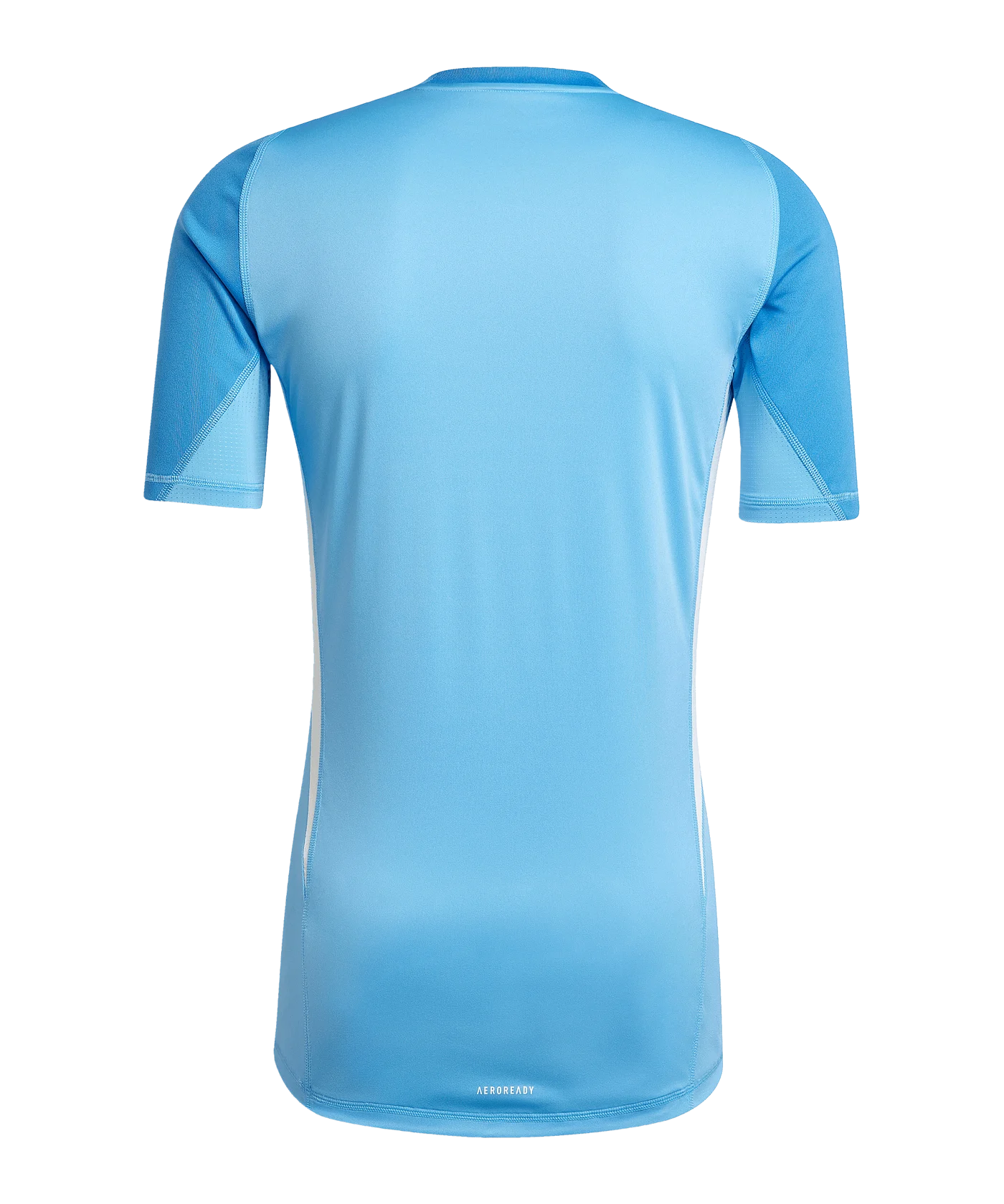 adidas Tiro 25 Pro Torwarttrikot Blau