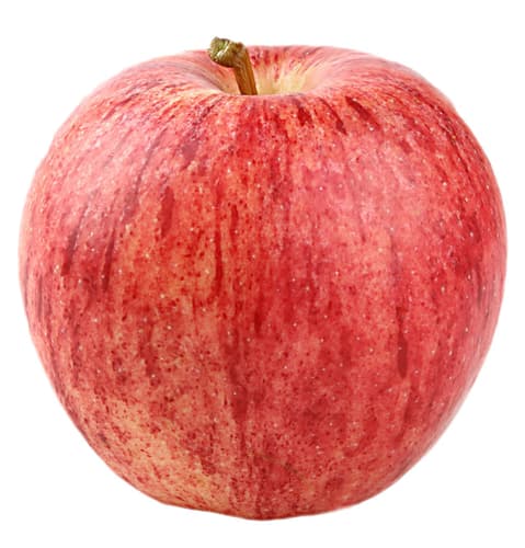 Äpfel Gala rot, Schale