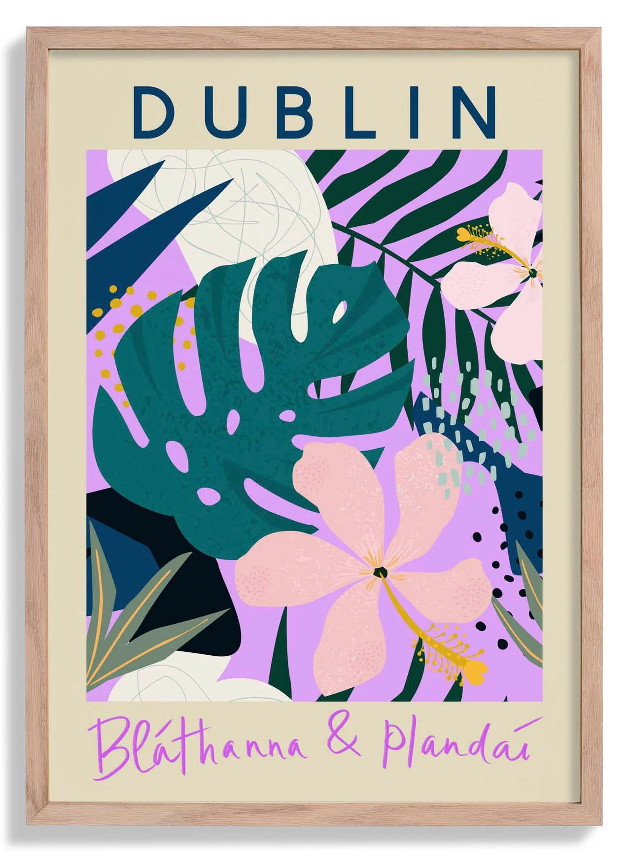 Dubliner Blumenmarkt