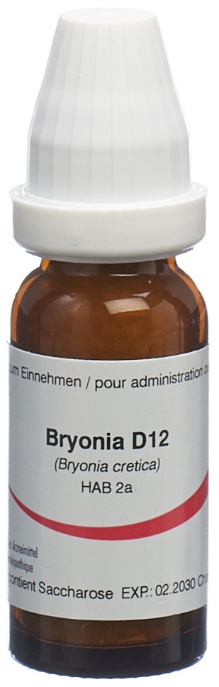 Omida Bryonia Glob 12 D 14 g