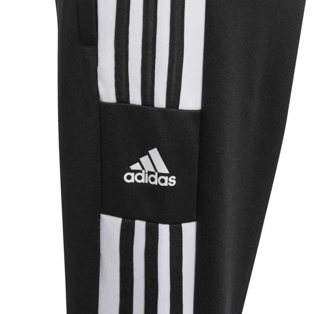 Adidas SQ21 TR PNT Y