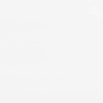 Dumaclip wand- en plafondpaneel PVC satijn wit 2.4m2, afm. 120 x 25 cm