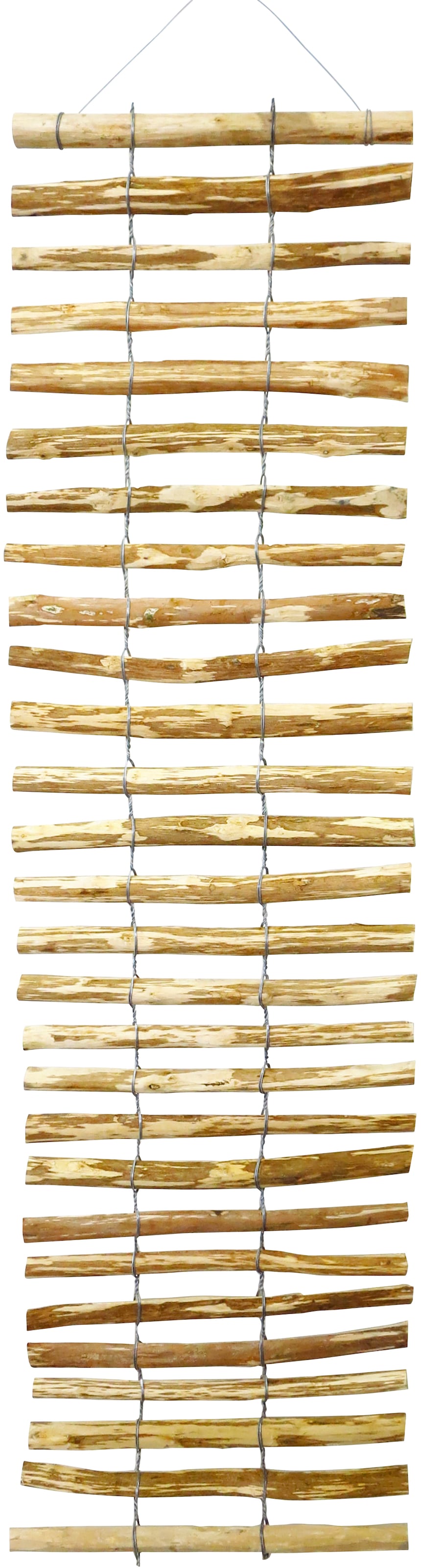 dobar Rankhilfe LxB: 50x200 cm, Haselnuss