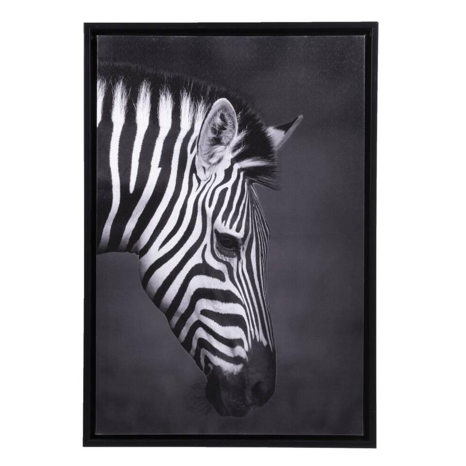 Schilderij Zebra - canvas - 64x44 cm