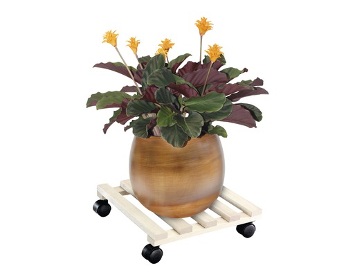 Wagner Paletti plantenwagen, beukenhout, 34x34 cm, draagvermogen 100 kg