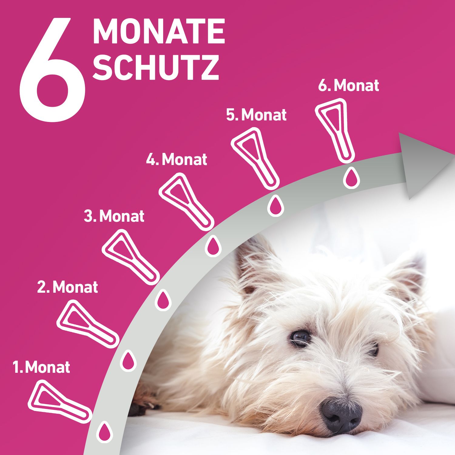 FRONTLINE TRI-ACT® gegen Zecken, Flöhe und fliegende Insekten beim Hund (5-10kg)