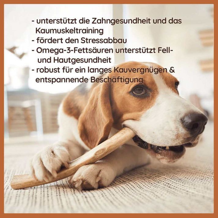 WILDFANG® Rothirsch Geweih mit Lachsöl