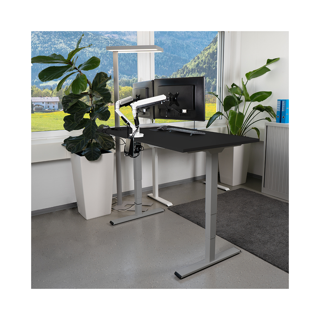 Contini höhenverstellbarer Bürotisch 1.6x0.8m Schwarz / Gestell dunkelgrau