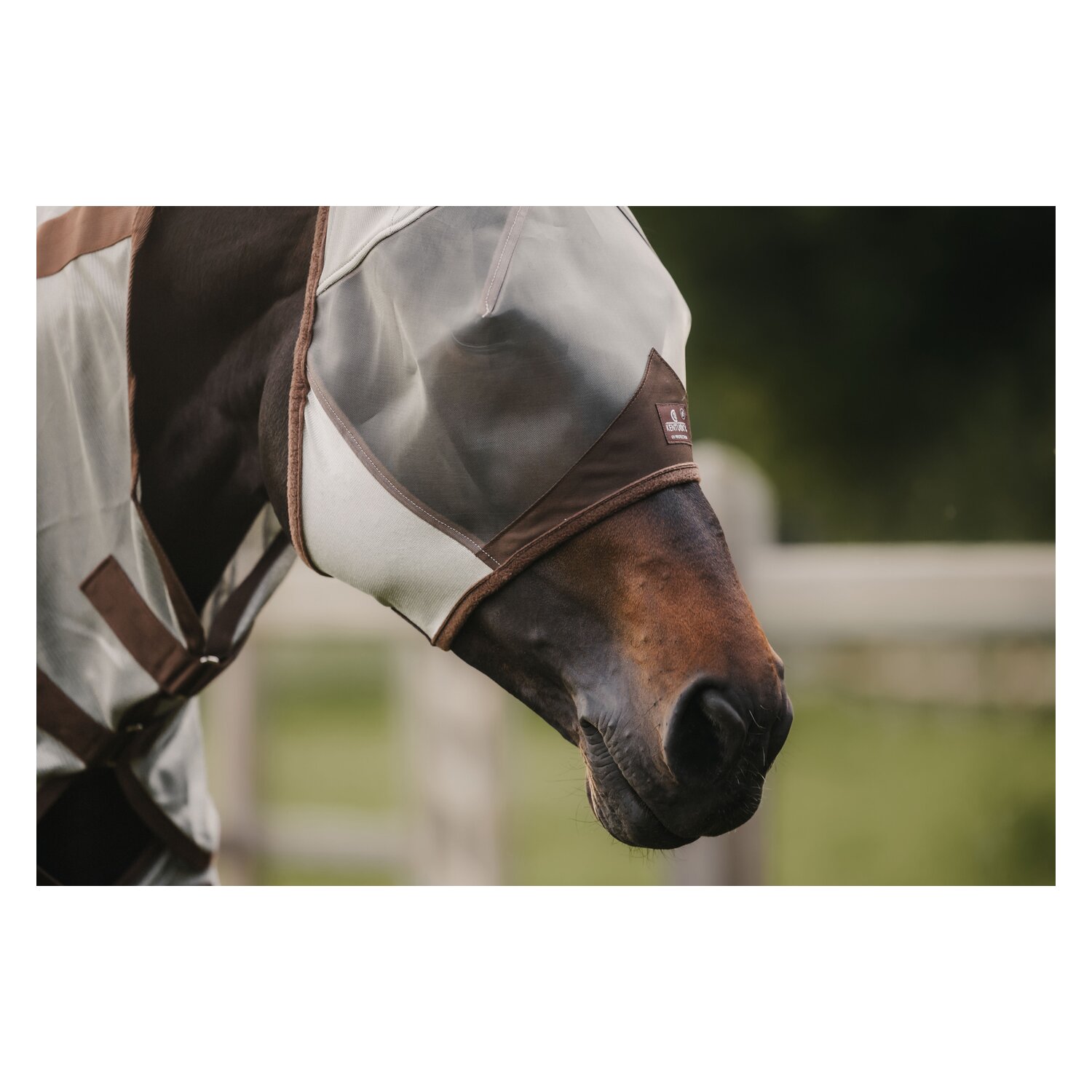KENTUCKY Fliegenmaske Classic mit Ohren  - silver