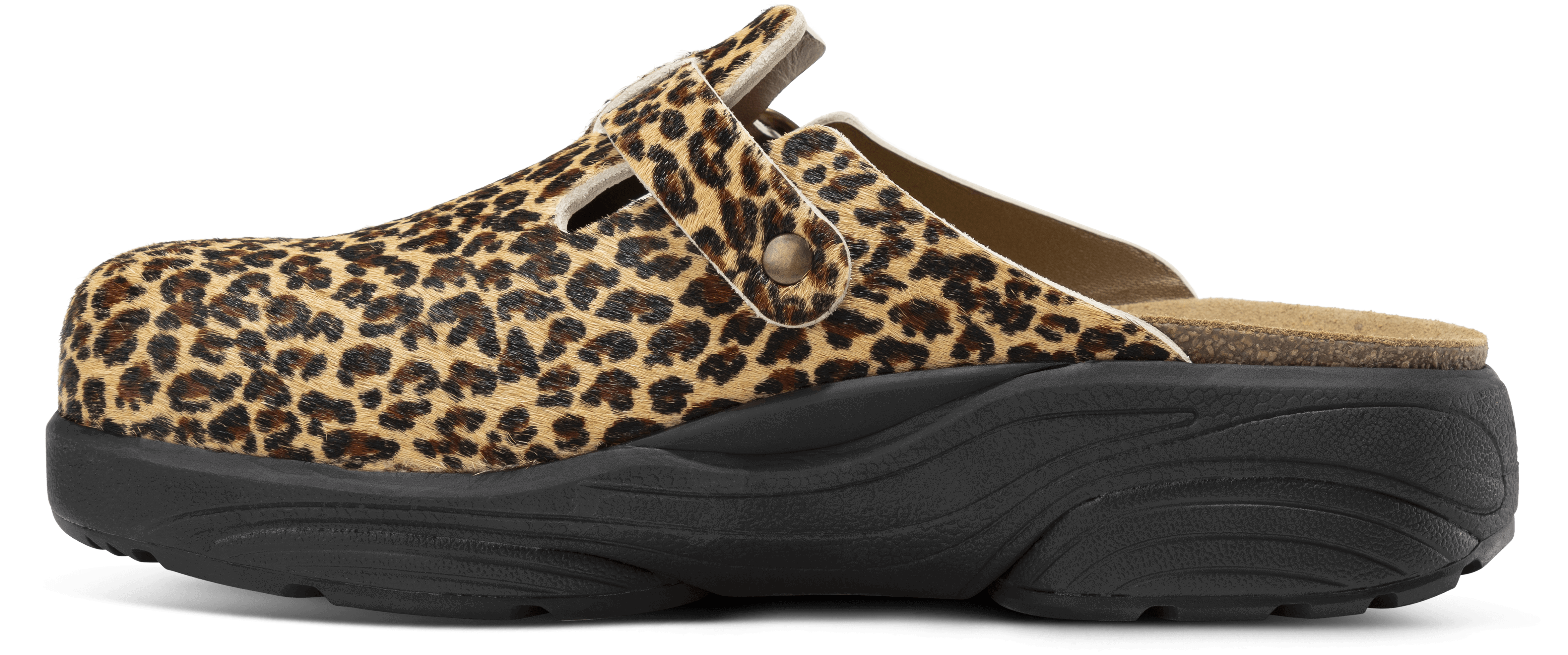 Hibiscus Leopard