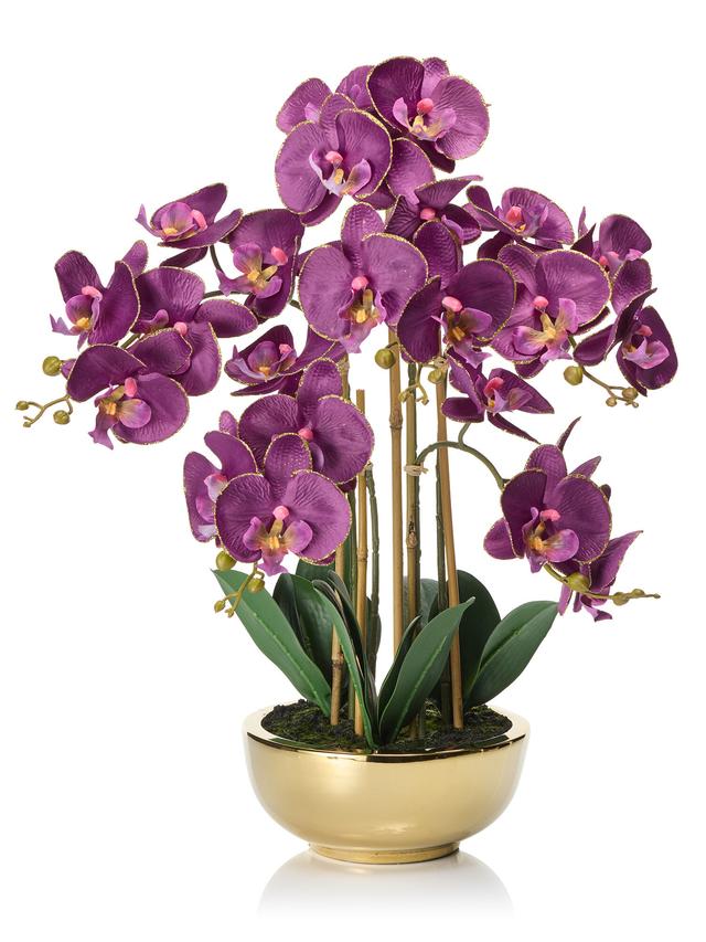 Phalaenopsis in Keramikschale gold 20x9cm