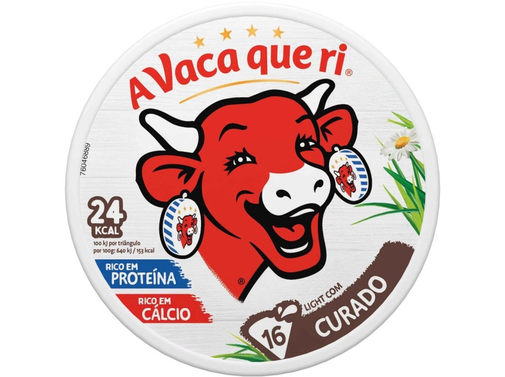 QUEIJO FUNDIDO VACA QUE RI CURADO 16 PORÇÕES 250G