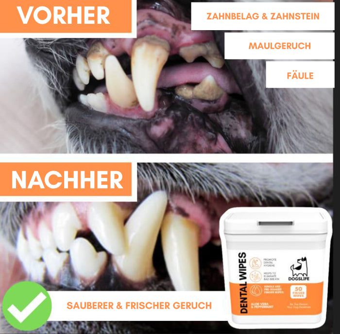 Dental Wipes Zahnputz-Fingerpads - DogsLife