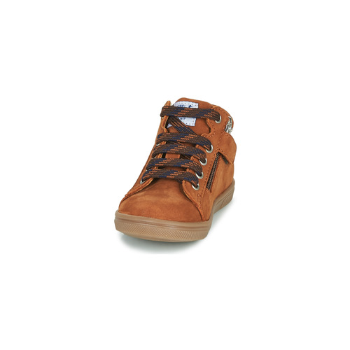 GBB - WESTY - Marron
