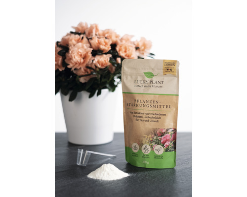 Lucky Plant Plant Strengthener Poeder 200g incl. maatlepel