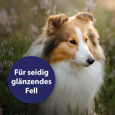 Canosept Fellpflegespray für Hunde 250ml