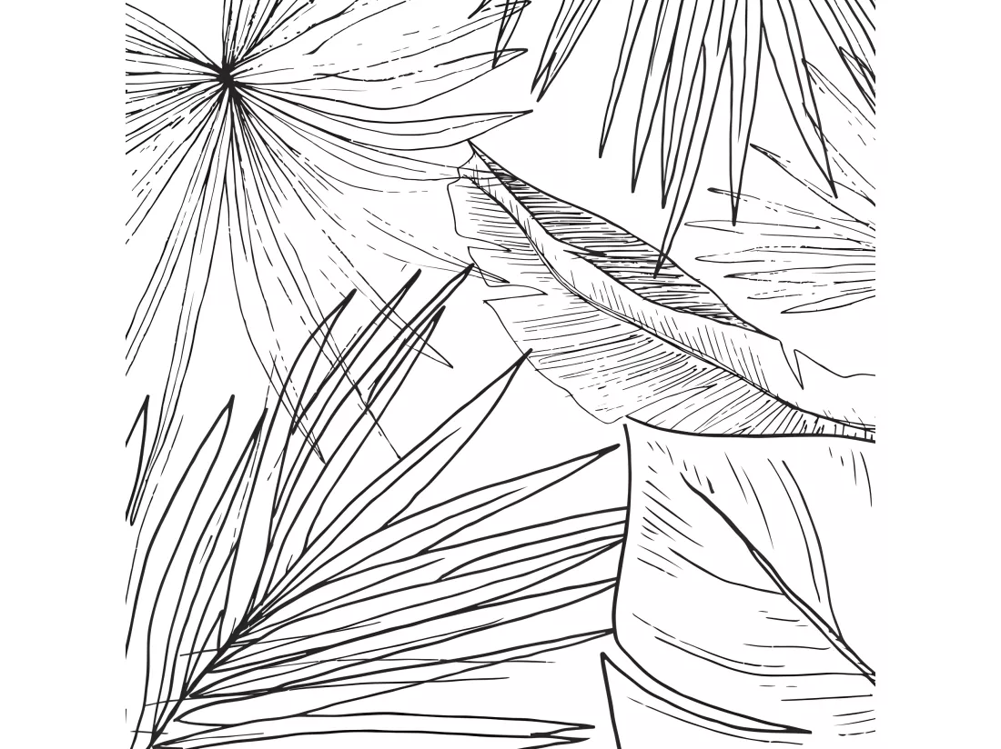 Papier Peint Panoramique L336xH270cm - Lämnar Svart - Papier intissé 150gr/m2