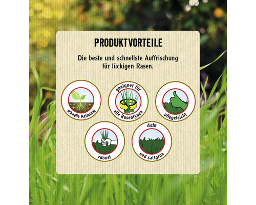 FloraSelf Select Power doorzaai- en reparatiegazonzaad, gecoat, 0,5 kg / 15 m² DE/NL/SE