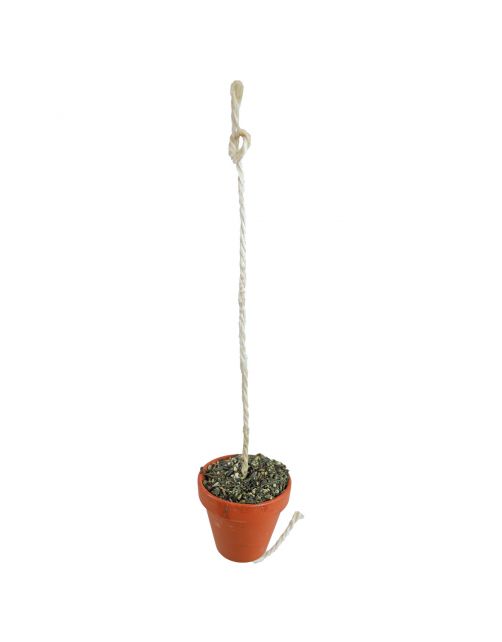Jr Farm Kleipot Grote Parkiet En Papegaai - Vogelspeelgoed - 10 x 13 x 19.5 cm 260 g