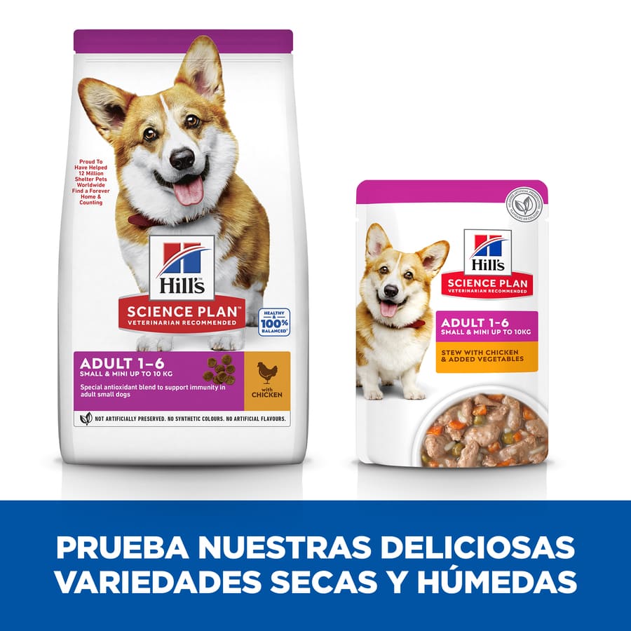 Ração Hill's Science Plan Adult para Cães de Pequeno e Pequeno Porte com Sabor de Frango