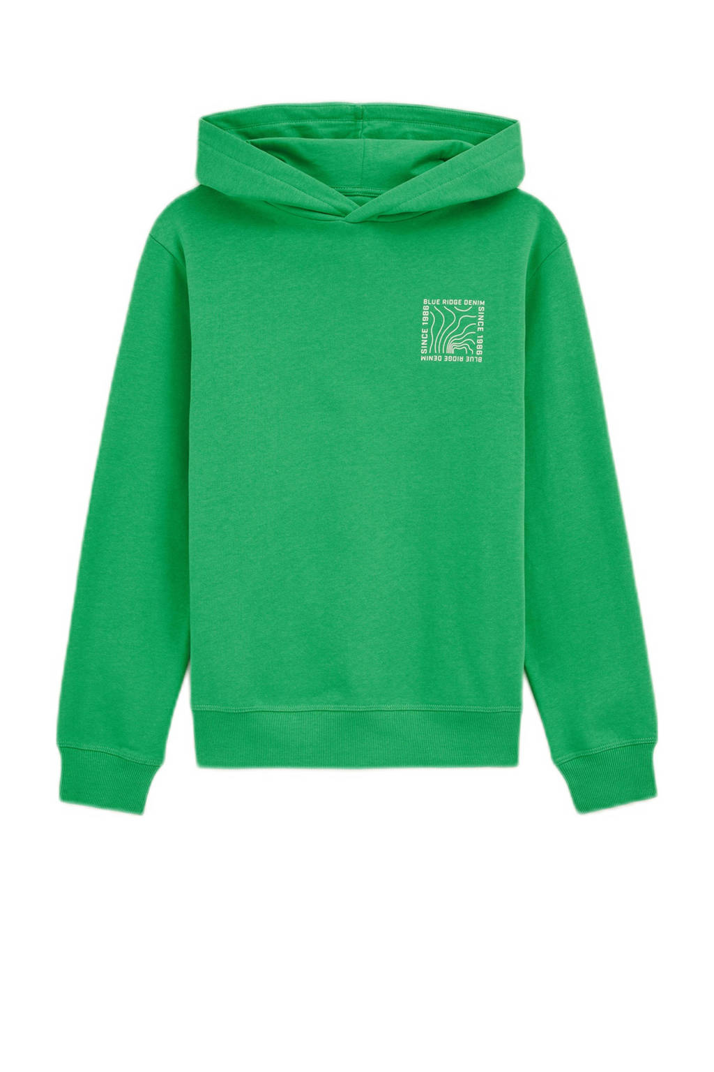 WE Fashion hoodie groen