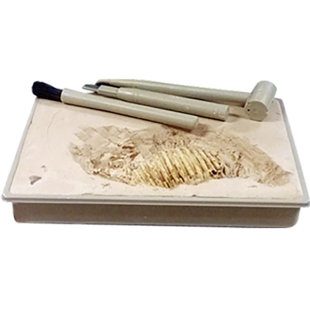 Kit dinosaure + outils d'excavation