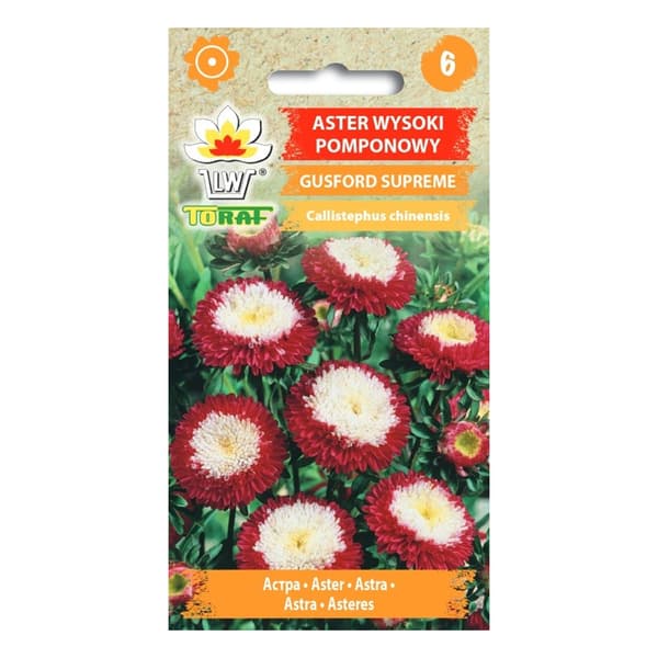 Asterfrø Gusford Supreme - Flerfargede pompongblomster til blomsterbed og buketter