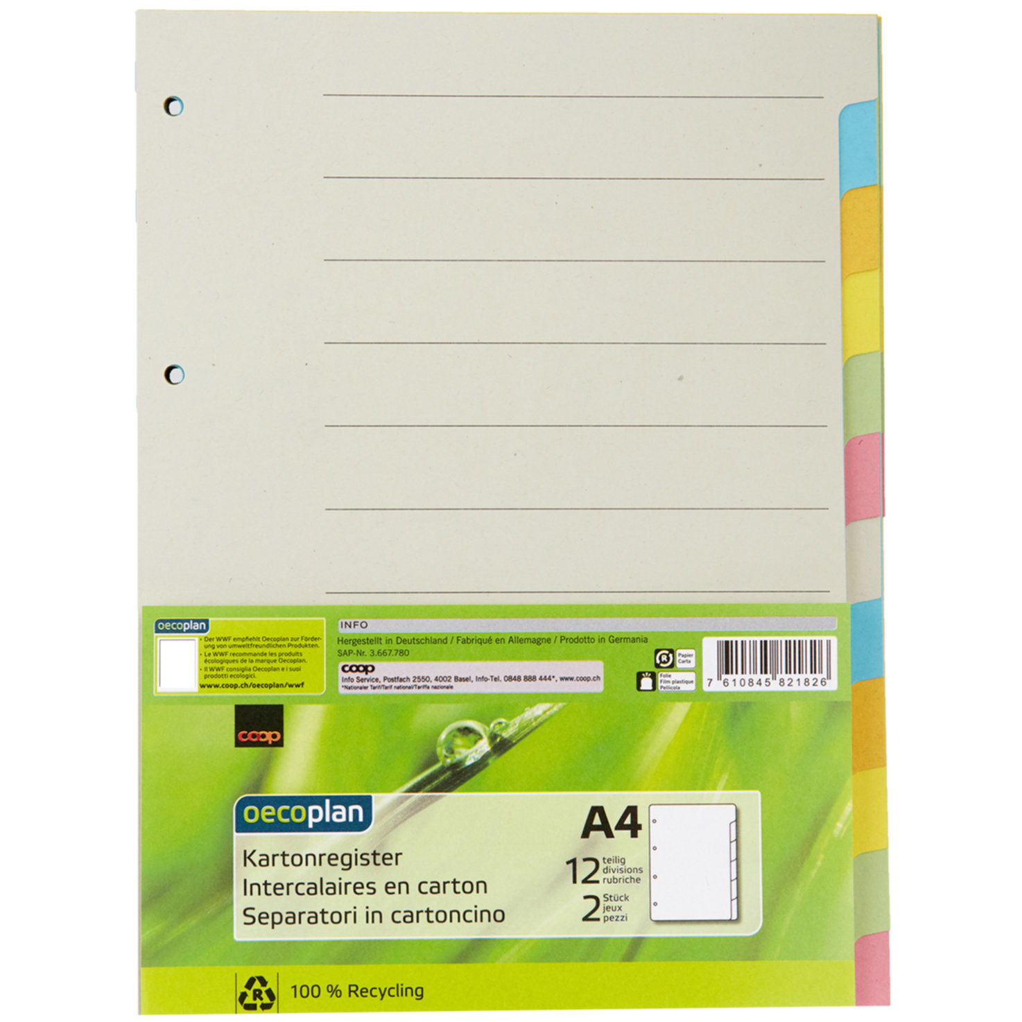 Oecoplan Kartonregister A4 12-teilig