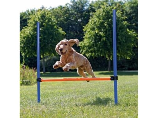 Trixie Agility spring 115 x ø 3,3 cm