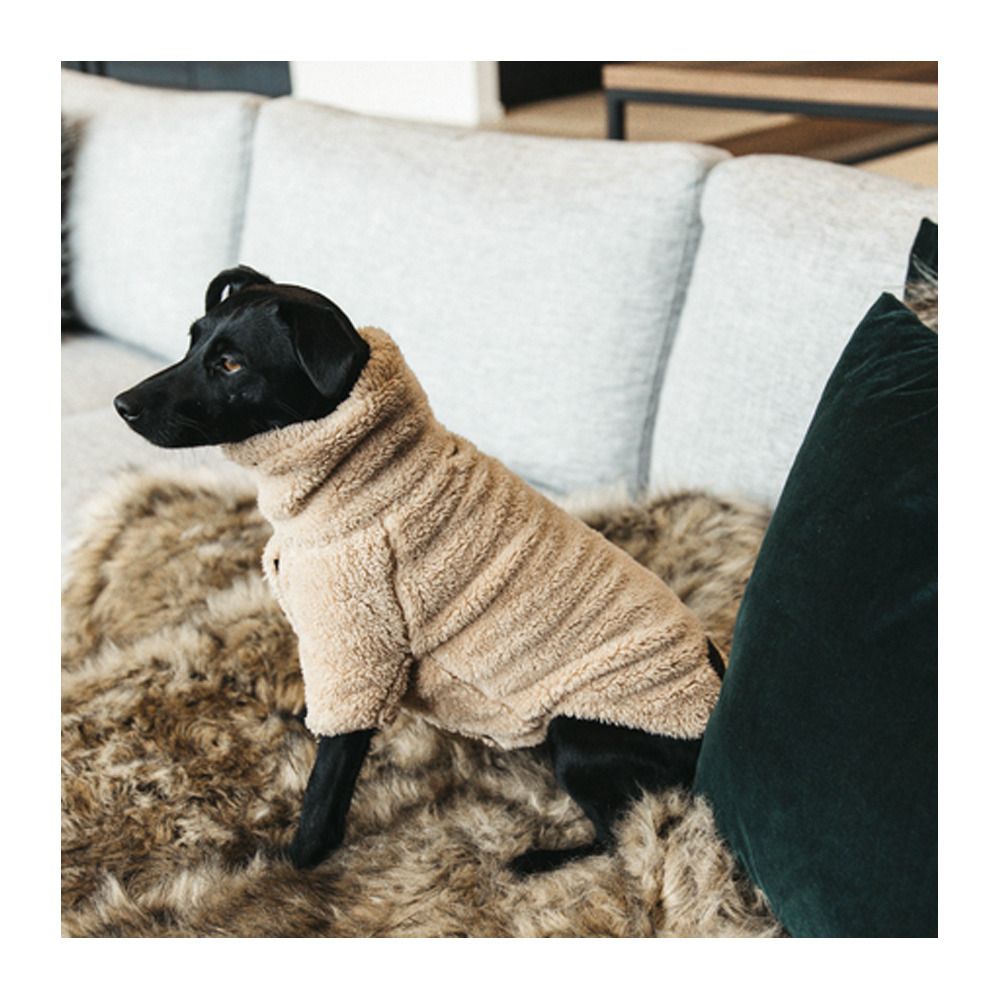 Kentucky TEDDY FLEECE - Chemise polaire pour chien beige