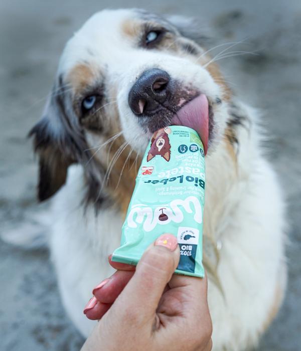 WOW® Hundesnack Bio Leberpaste, 80 g