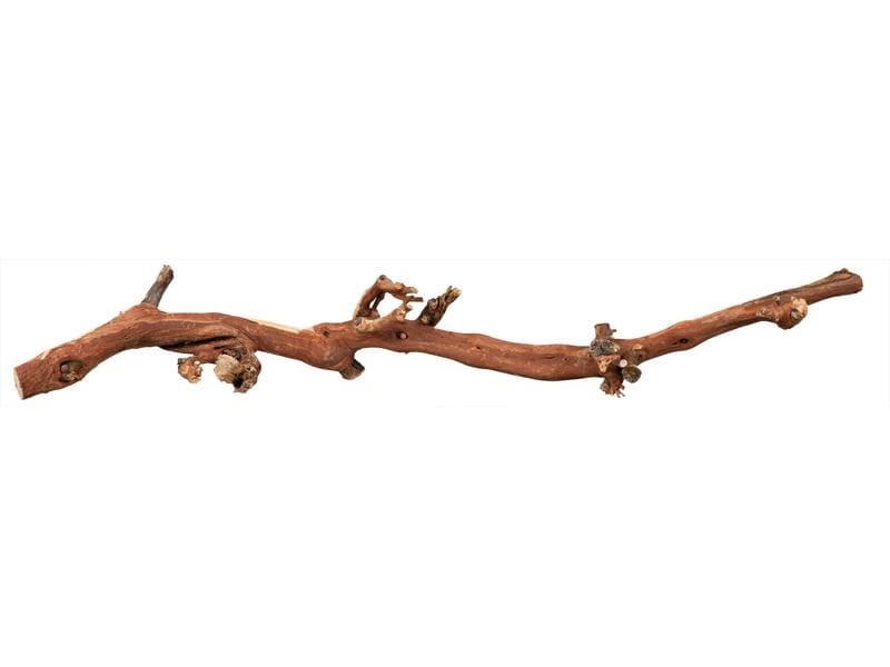 Trixie Weinrebenwurzel L wassergestrahlt, 40 - 60 cm Weinrebe für einen natürlichen Lebensraum