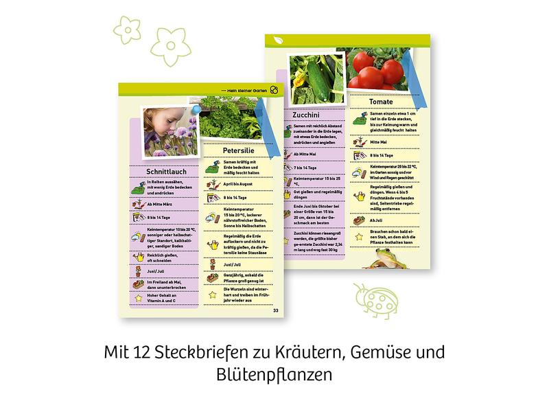 Kosmos Experimentierkasten Mein erstes Gewächshaus Eigenen Garten pflanzen