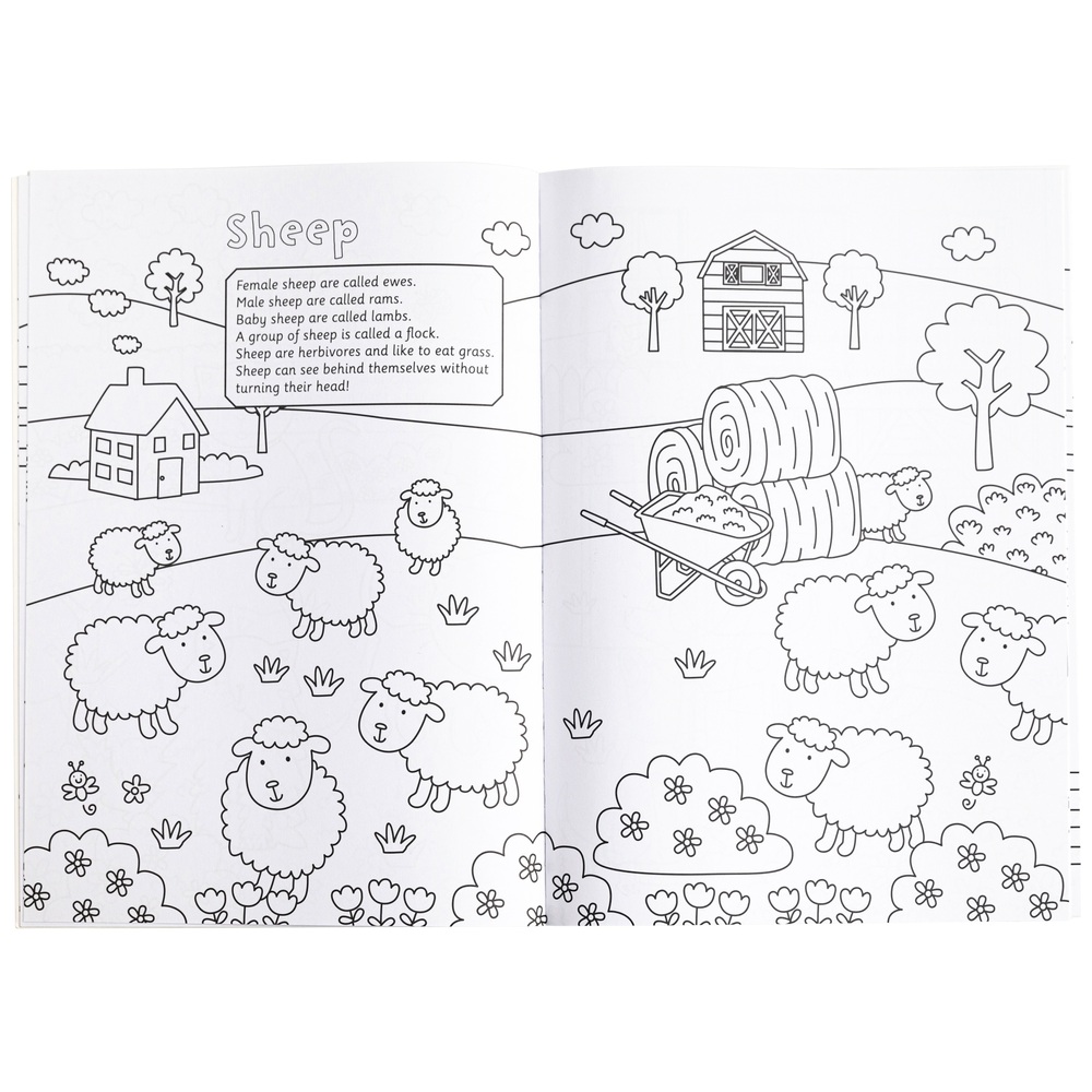 Malbuch „Fakten vom Bauernhof“ von Blue Bubble