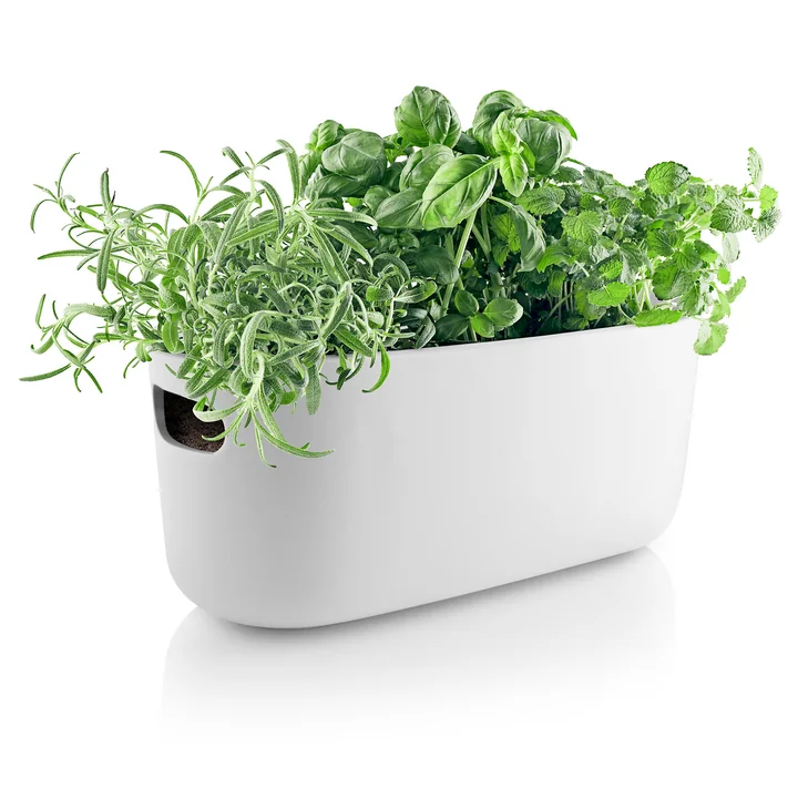 Eva Solo - Selbstbewässernder Herb-Organiser, Grid sand