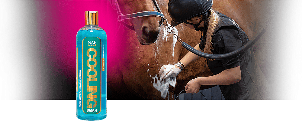 NAF Cooling Wash – Verkoelende spoeling voor spieren en huid van paarden na inspanning