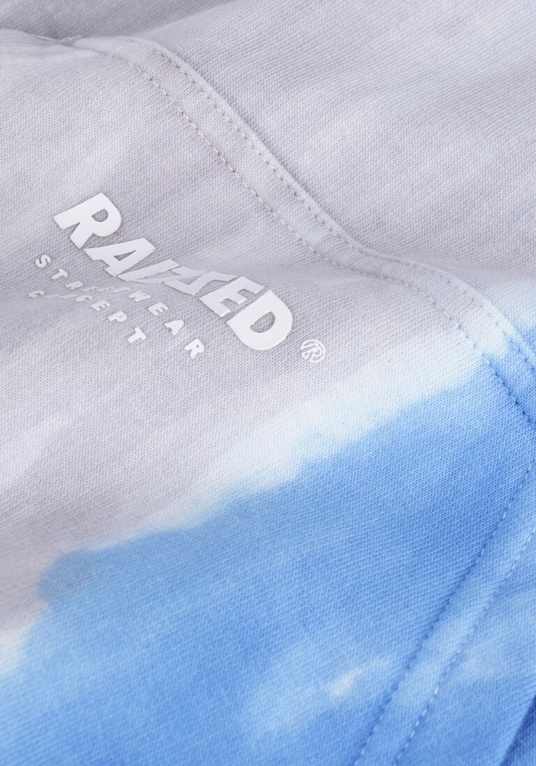 RAIZZED blauwe raizzed sweater west