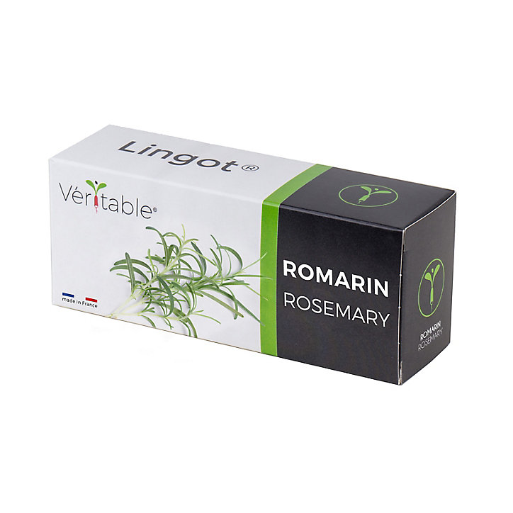 Lingot® Romarin pour potager Véritable®