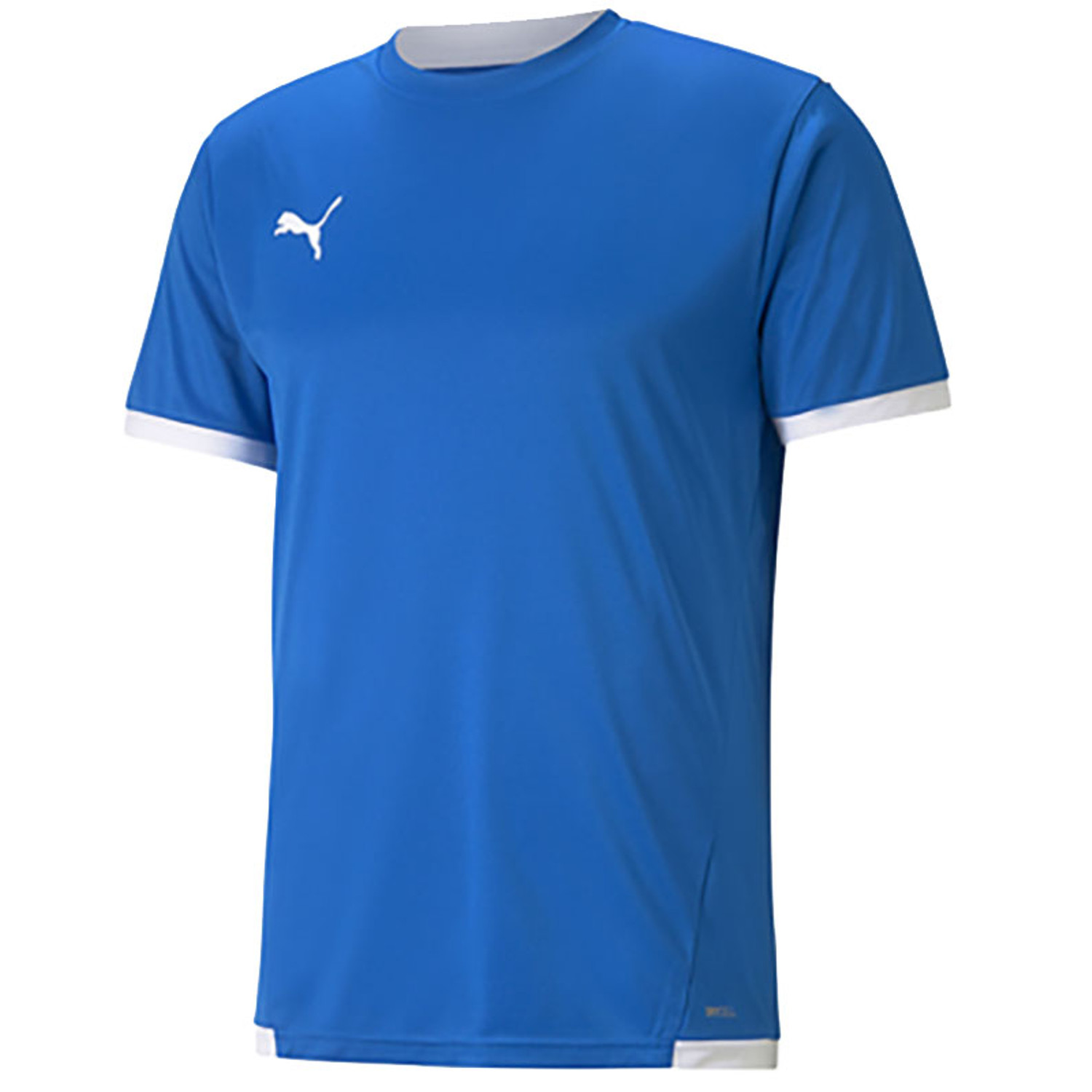 Puma LIGA Trainingsset