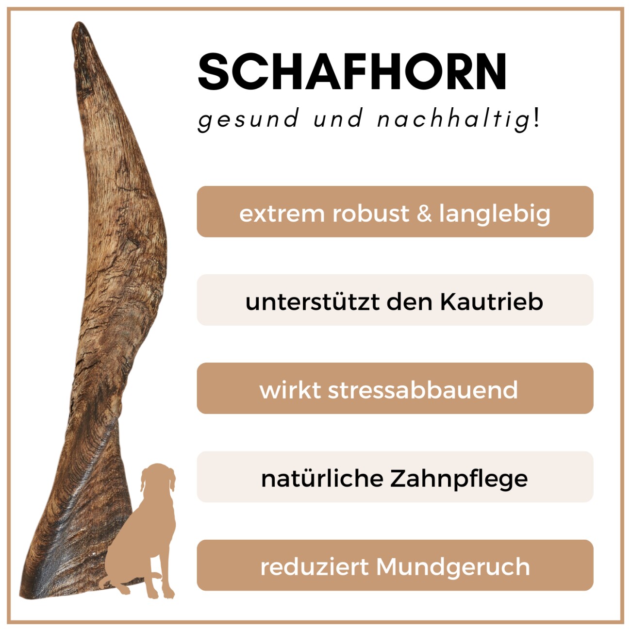 Supravit Kauhorn vom Schaf - Schafhorn XS