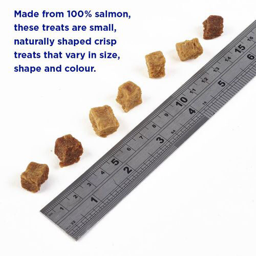 Fish4Dogs Puppy Training Salmon Bites Hondensnacks