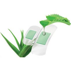 Pansements 'Aloe vera', pack de 10, blanc