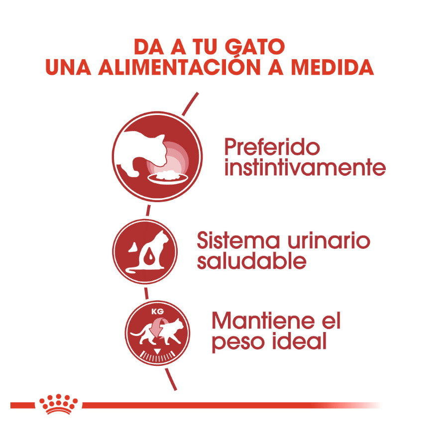 Sachê de Patê Royal Canin Instinctive para Gatos